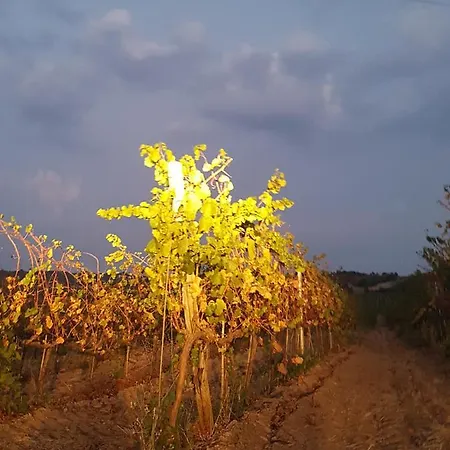 Acquasale Frühstückspension *