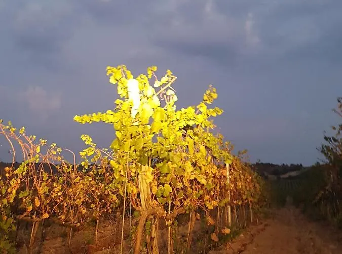 Acquasale Panzió 3*